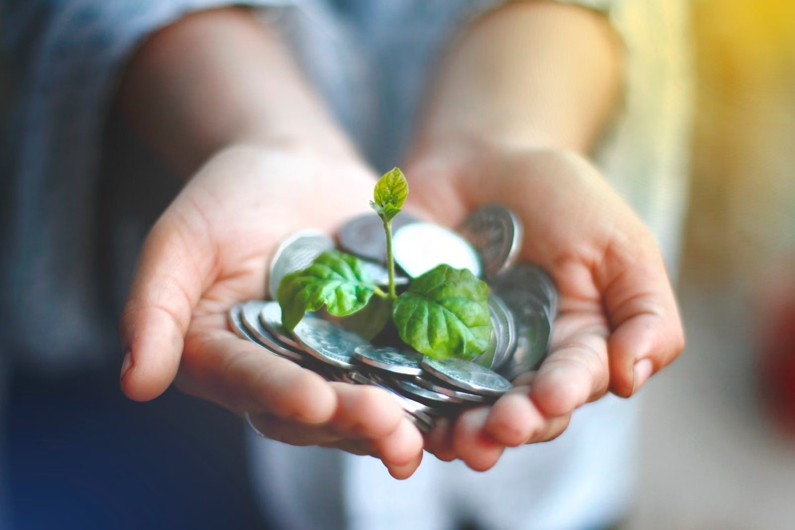 Hands holding coins with a young green plant growing from them